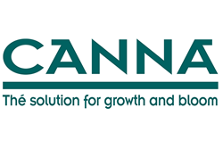 Picture for category Canna