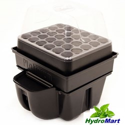 Show details for PLATINIUM SUPER CLONER 30 HYDROPONIC SYSTEM NEOPRENE FOAM COLLARS CLONING CLONE Picture of PLATINIUM SUPER CLONER 30 HYDROPONIC SYSTEM NEOPRENE FOAM COLLARS CLONING CLONE